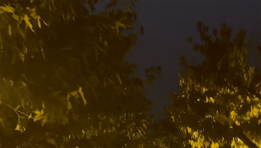 November 26, 2025, Holy Rosary (Glorious Mysteries)