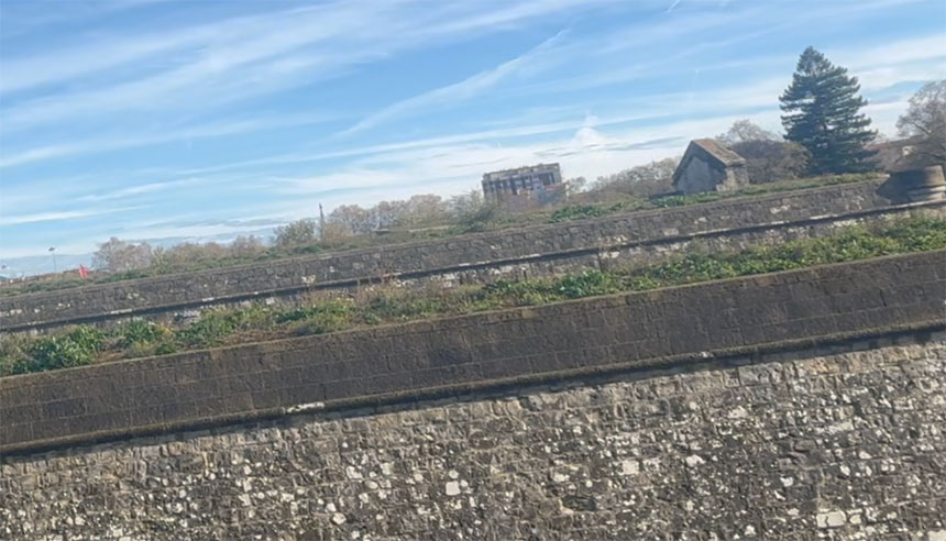 November 28, 2025, Holy Rosary (Sorrowful Mysteries)