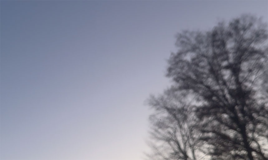 November 24, 2025, Holy Rosary (Joyful Mysteries)